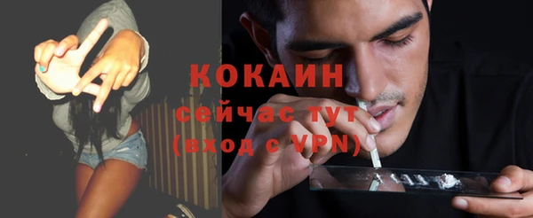 стафф Карпинск