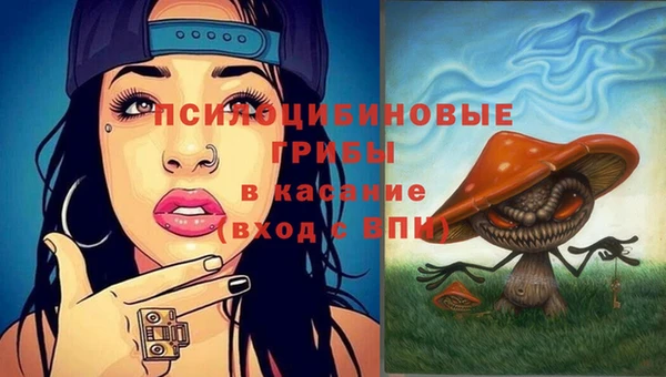 кристаллы Вяземский