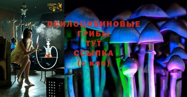 соль ск Кодинск
