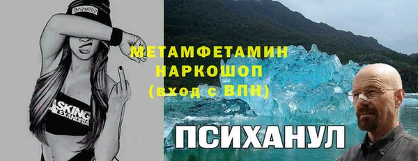 гидра Козловка